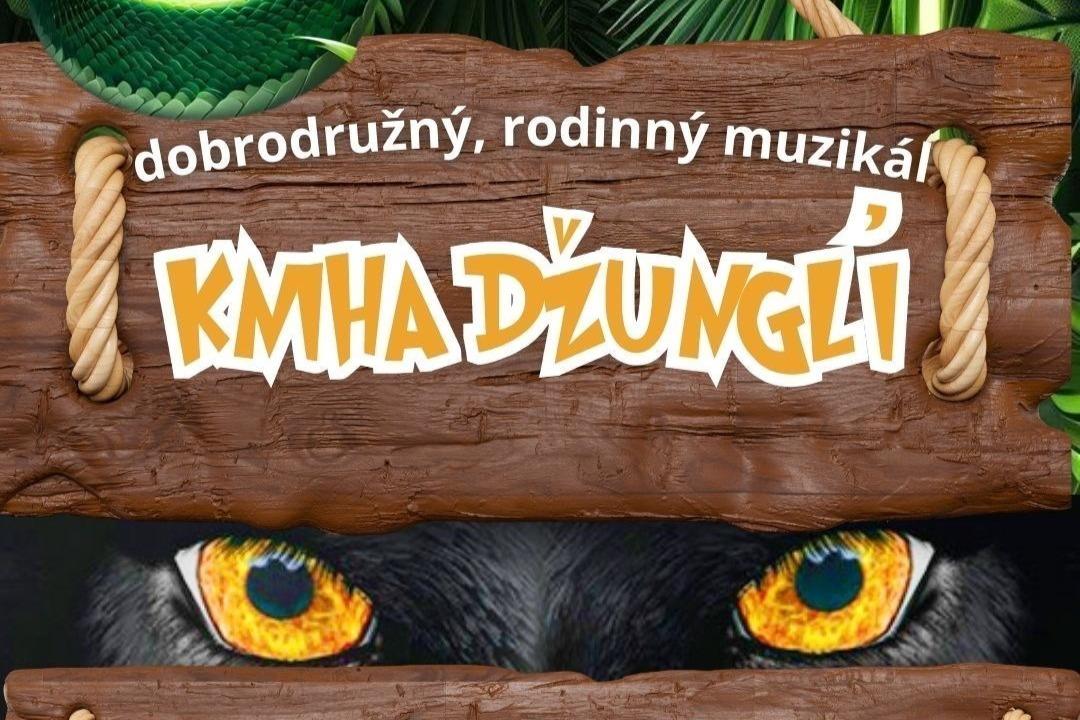 Pro rodiny: KNIHA DŽUNGLÍ